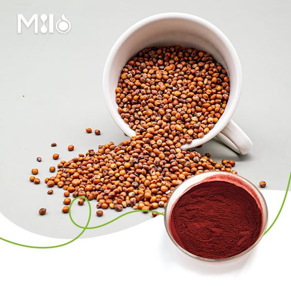 Κόκκινο Σόργο Pigment Kaoliang