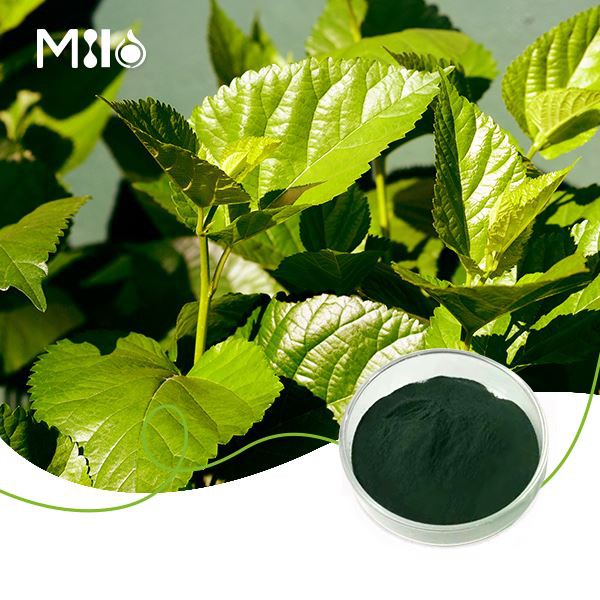 Σκόνη Χλωροφυλλίνης Χαλκού Νατρίου